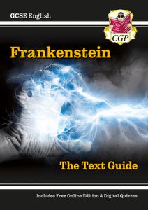 Frankenstein Text Guide (Ages 14-16)