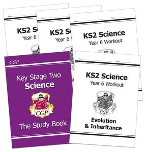 Year 6 Science Study & Workbook Pack (Ages 10-11)